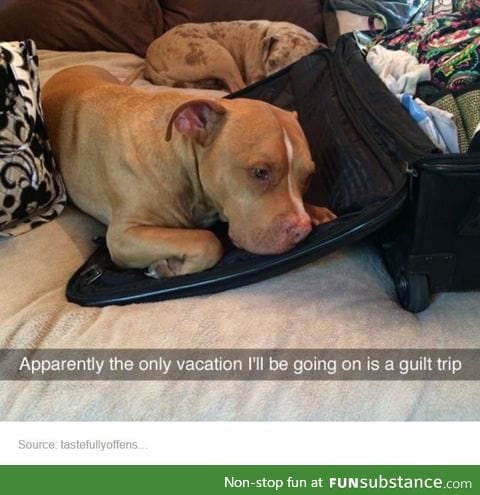 Awww