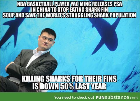 Yao Ming doing it right