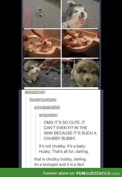 So cute!!!