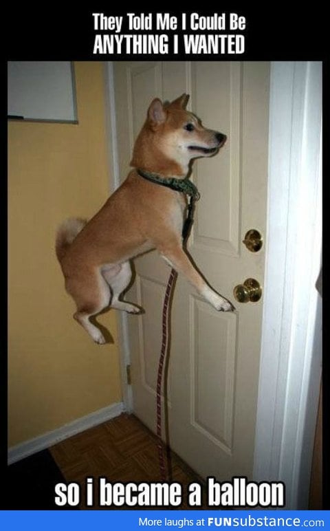 Balloon Dog