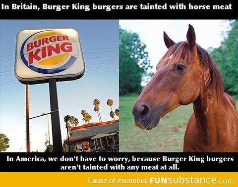 On Burger King serving horse meat