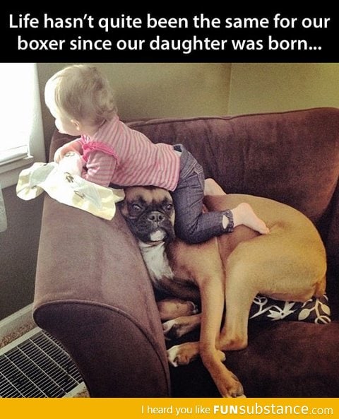 Poor dog