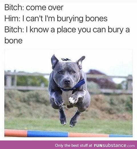 Dog come over