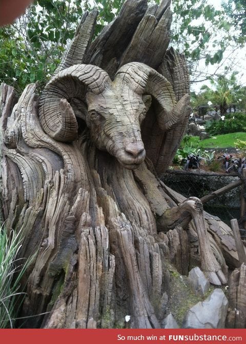 Ram's head carved into old tree trunk
