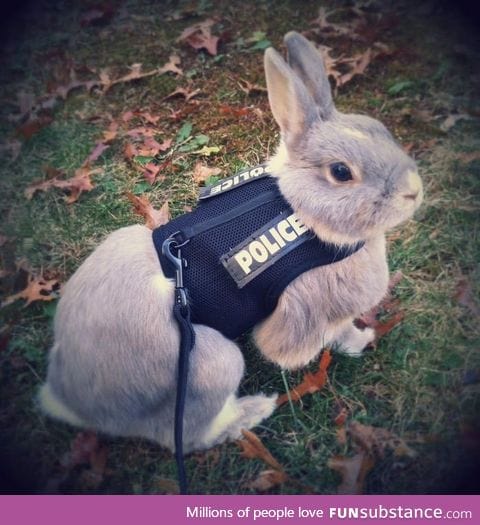 Zootopia's Judy Hopps cosplay