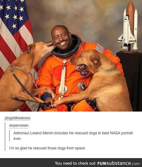 Saving dogs from space