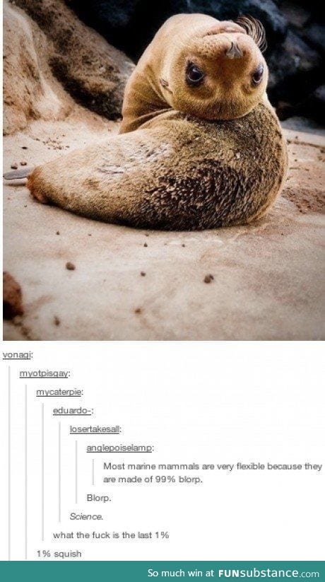 And 100% adorable