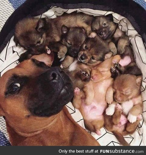 Selfie with kids