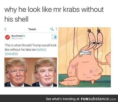 List some similarities or differences between Trump and Mr. Krabs in the comments