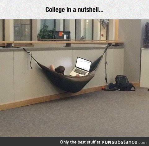 Should have done this in college