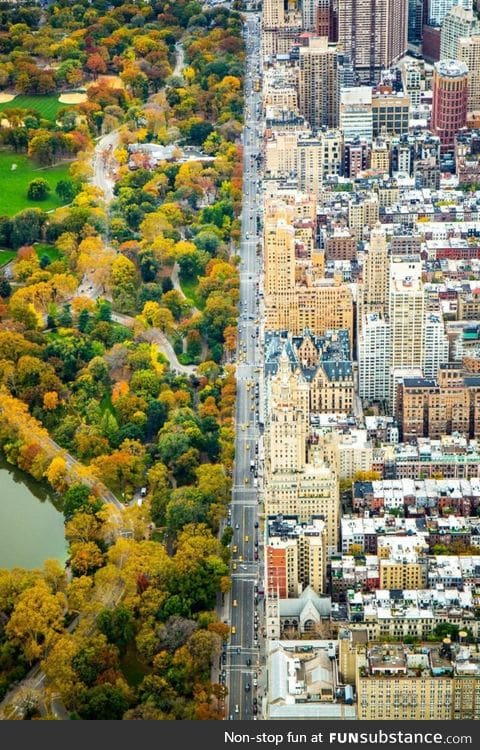 Central park, new york