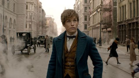 Fantastic Beasts and Where to Find Them - Teaser Trailer [HD]