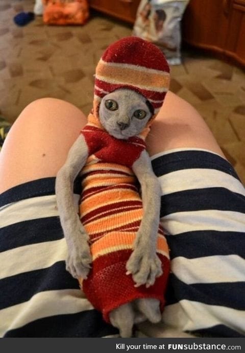 "Master has given Dobby a sock!"