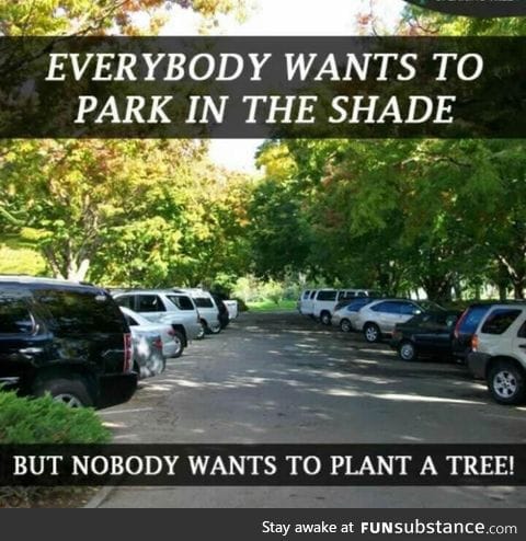 Think about this... everybody wants to park in the shade