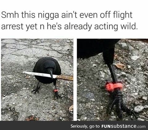 acting wild now that you're almost off of flight arrest