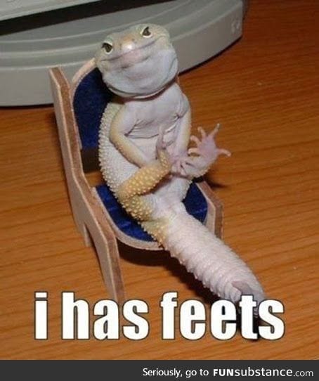 One of my favorite lizard funnies. IT'S JUST SO CUTE!! *ahem* sorry.
