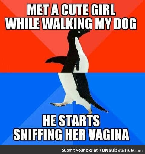 Man's best friend