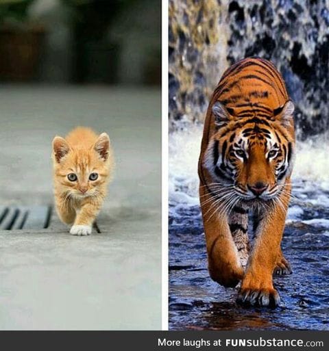 Different sizes, but same attitude