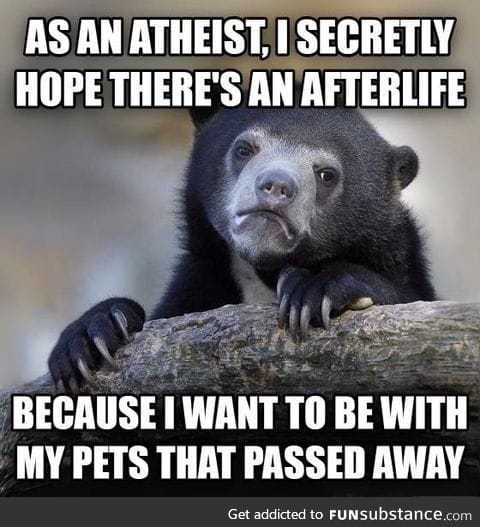 It's contradictory