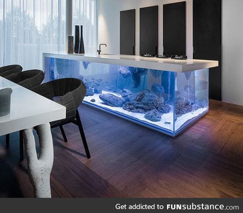 Kitchen island with an aquarium inside it