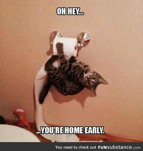 It's not what is looks like human