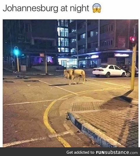 Well I'm not going to South Africa ever
