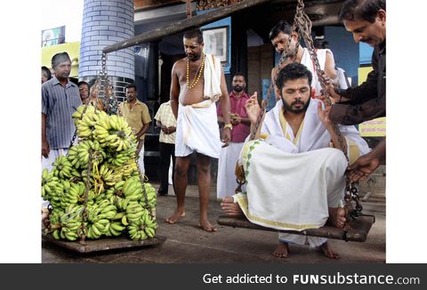 Banana for scale