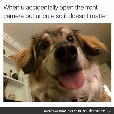 I'm just too cute