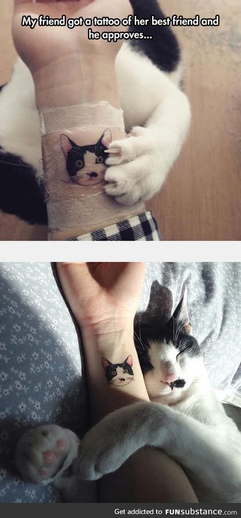 He definitely approves