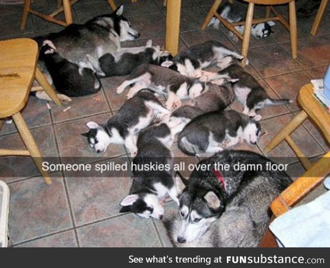 Cleanup on aisle 5