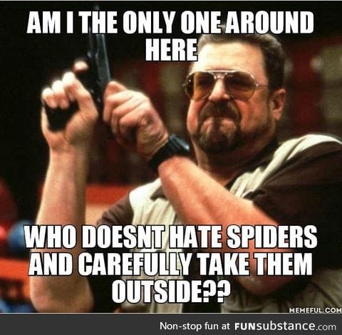 Why spiders?!?!