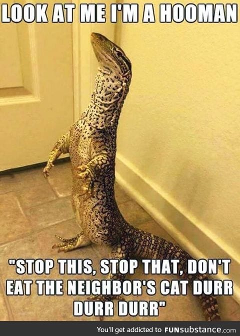 I'm a Hooman!