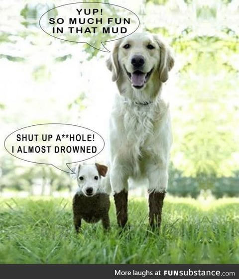 Why I dislike being short