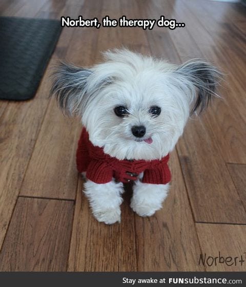 Tiny therapy specialist