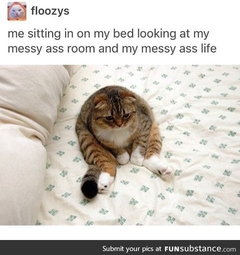 Everyday