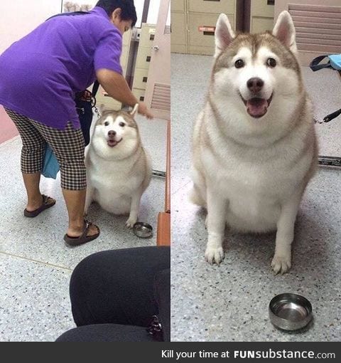 Fat ass woofer