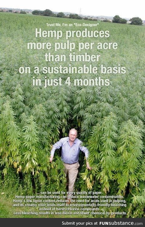 Hemp