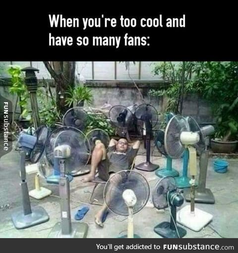 Life in a nutshell