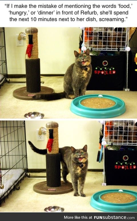 look at her demanding face