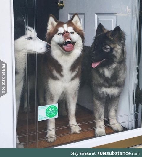 There's always that one friend with "personality."