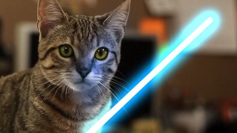 What did I tell you about using the force in the house?