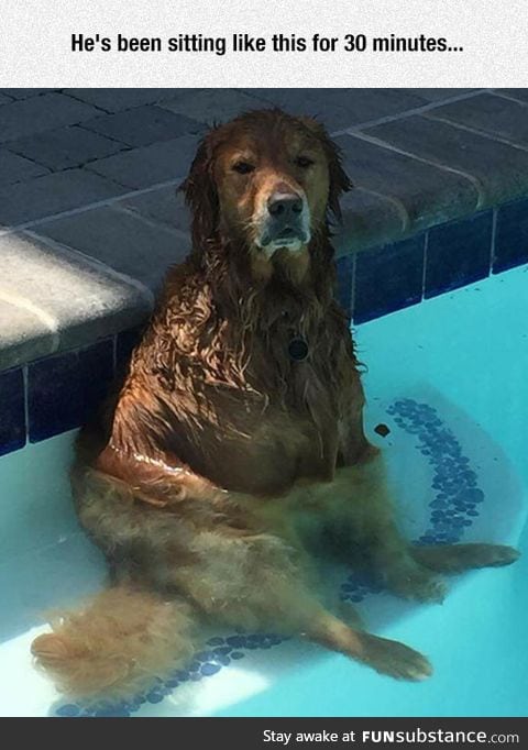 Dealing with summer