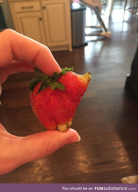 Piggyberry