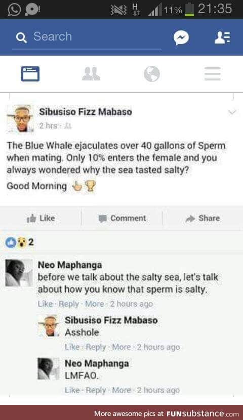 pretty funny