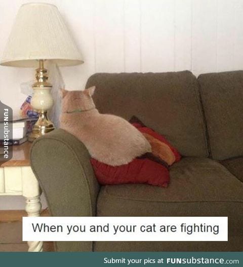 In a fight