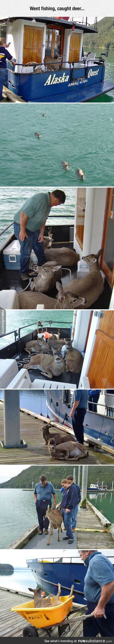 Deer fishing done properly