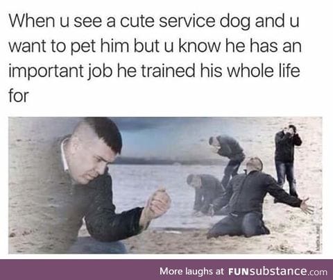 I just wanna pet it