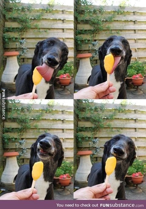 Snoop Doge loving his popsicle