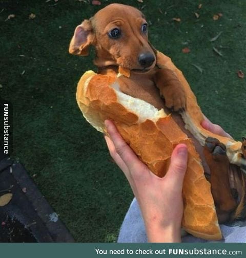 Please don't eat me!