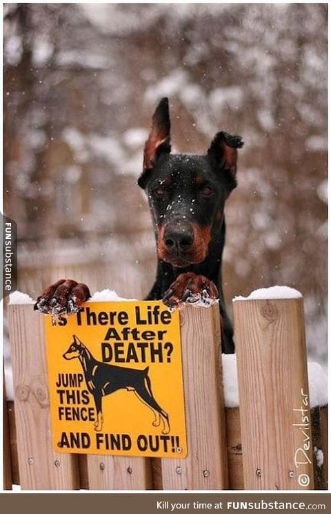 Jump and find out